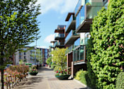Thumbnail 2 of 9 - a city street filled with trees and buildings