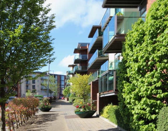 a city street filled with trees and buildings