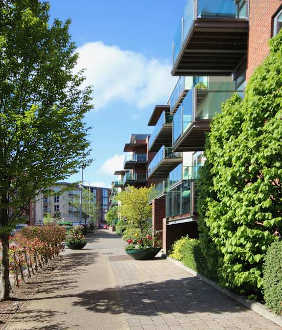 a city street filled with trees and buildings