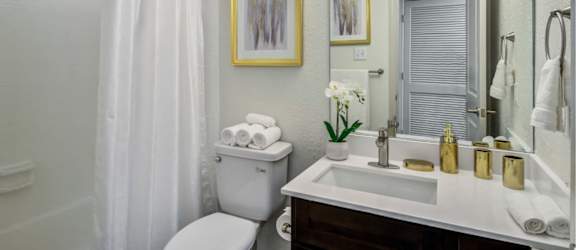 a bathroom with a shower and a toilet and a sink