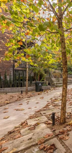 a courtyard with benches and trees in front of a building