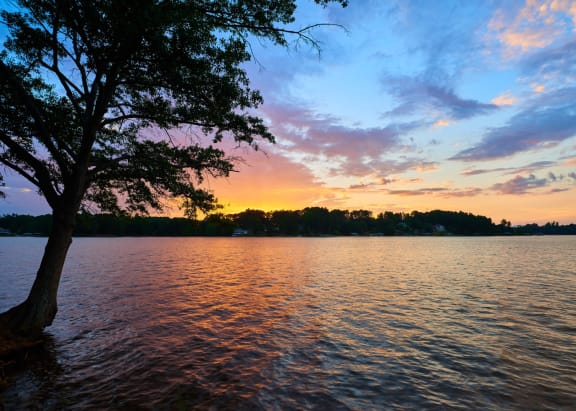 the sun sets over the water with a tree on the side of the lake