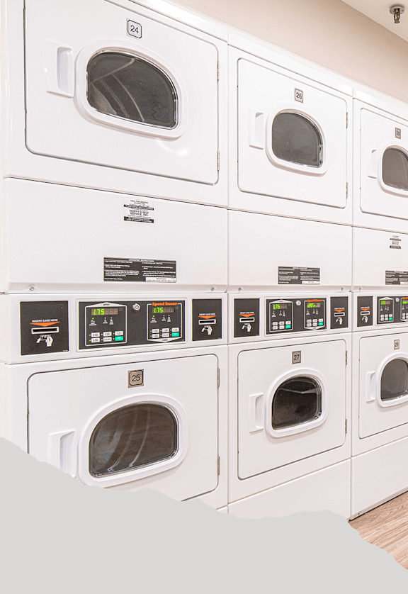 A row of washing machines are lined up in a laundromat.