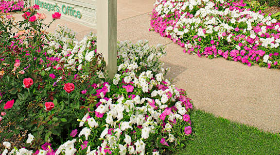 a sign in front of a building with flowers