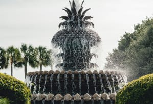 the pineapple fountain at the front of the garden of dreams