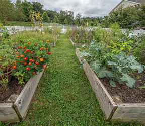 Community Garden at New Britain, Chalfont, 18914