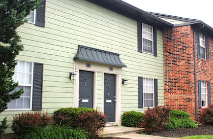 a green house with black doors and a red brick chimney