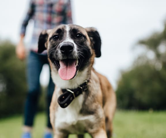 Kimball Court Apartments in Woburn Ma Tour Today