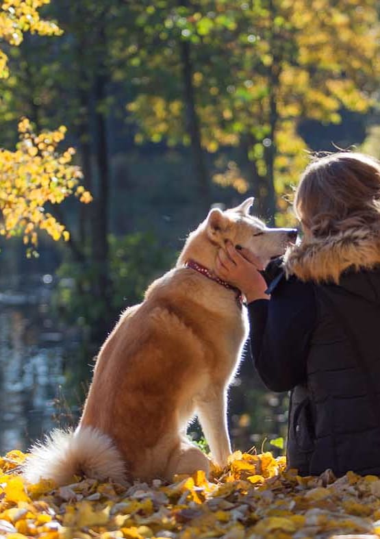 a woman and her dog sitting in the autumn leaves