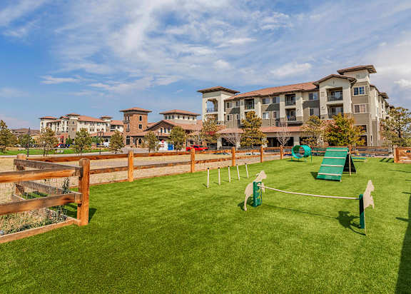 Outdoor Dog Park  at Terracina, Broomfield, CO 80020
