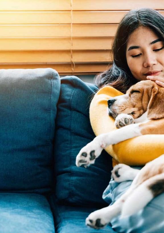 a woman sleeping on a couch with her dog