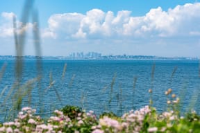 a view of the city of seattle across the water with pink flowers in the foreground