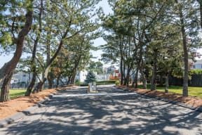a tree lined street with houses in the background