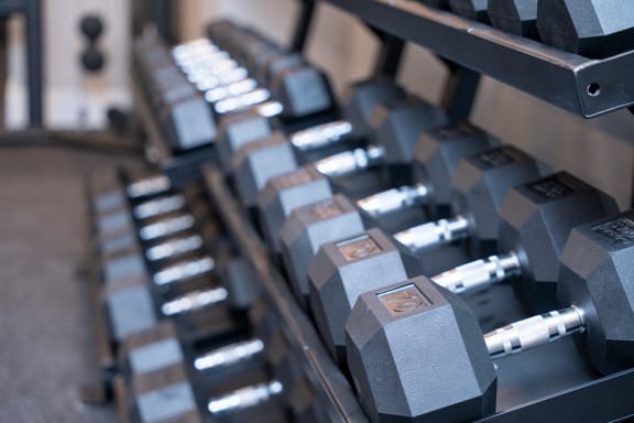 a gym with treadmills and weights on a blue floor