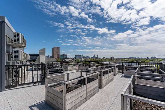 views of the city and skyline from the roof deck of a building