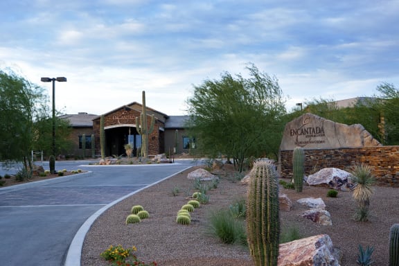 a building with a cactus garden in front of it