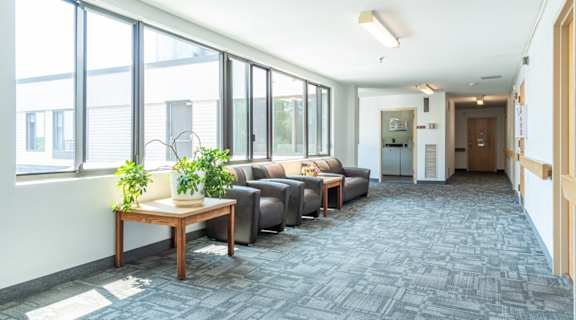 A room with grey carpet and a long wooden table with a potted plant on it.