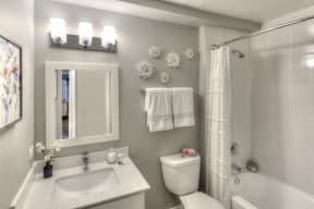 gray bathroom with white features