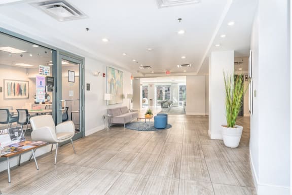 a lobby with white chairs and a potted plant