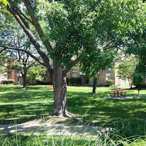 a patio with a table and chairs with an umbrella
