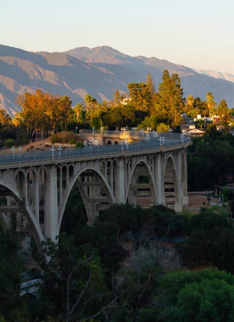 Bridge