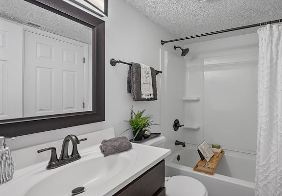 a bathroom with a shower and a sink and a mirror