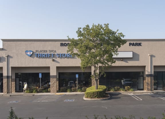 Roseville Business Park Store Front Parking Lot View