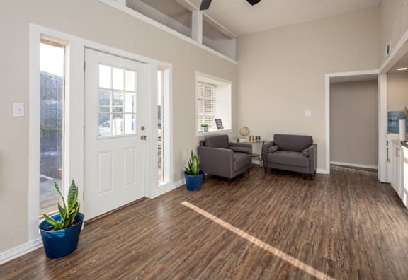 A living room with a grey couch and a blue plant.