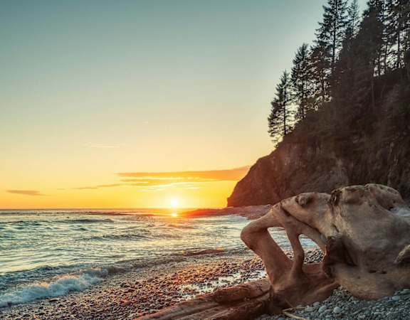 the sun sets over a beach with a driftwood