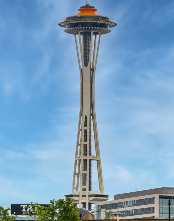 the space needle in the city