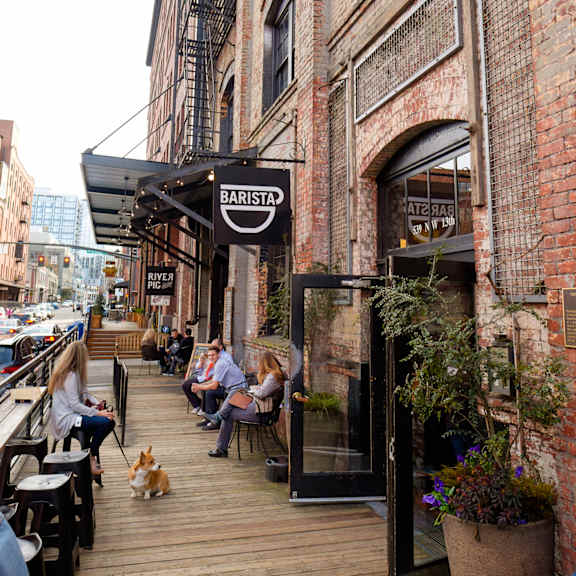 A dog is sitting on a wooden walkway outside of a brick building.