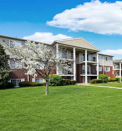 A tree with white flowers is in front of a building.