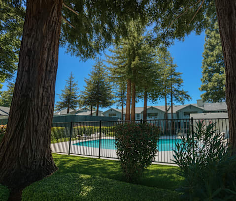 A pool surrounded by trees and a fence.at Vintage Pointe, California, 94928