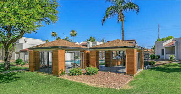a small house with a gated yard and a palm tree