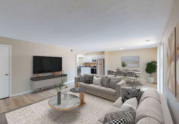 A living room with a grey couch, a coffee table, and a television.