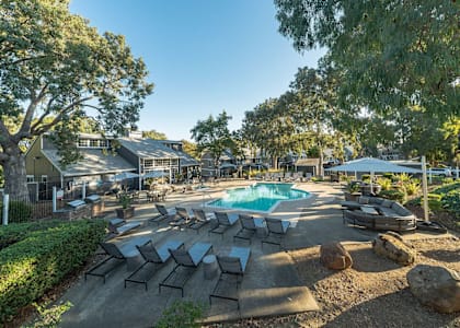 a resort style pool with lounge chairs and trees