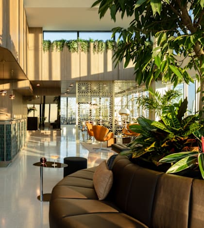 A modern lobby with a brown leather couch and a green plant.
