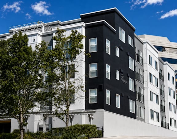 A modern building with a black and white facade and a tree in front.
