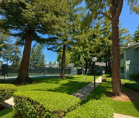 Lush Green Landscape at Vintage Pointe, California, 94928
