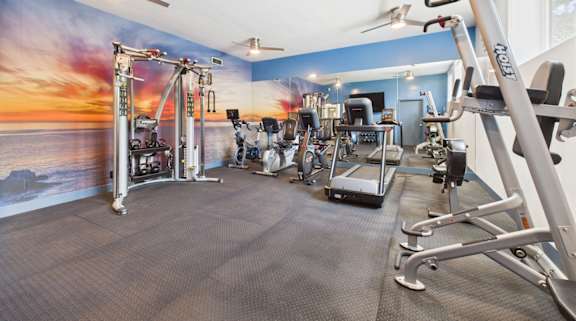 A gym with a sunset mural on the wall.