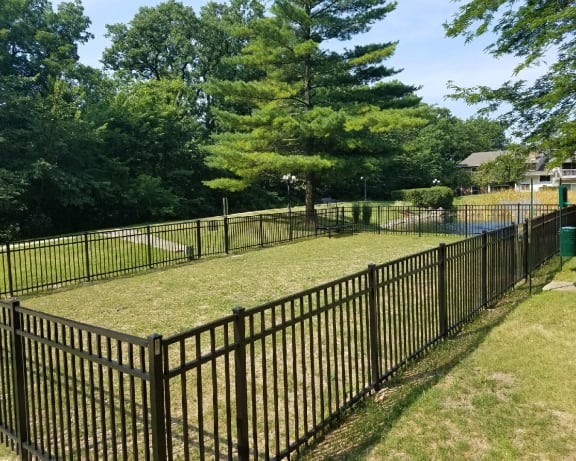 Photo Gallery Image