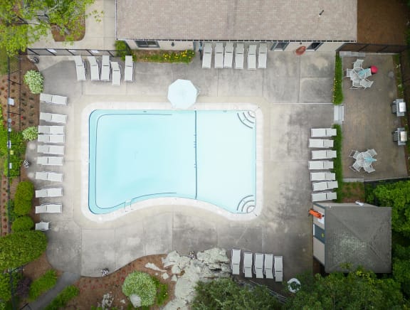arial view of a swimming pool with lounge chairs and plants around it
