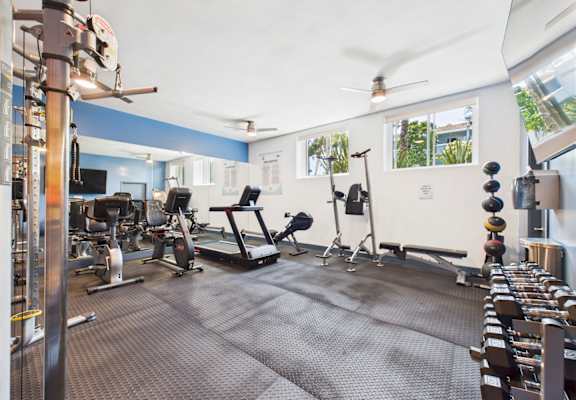 A gym with a variety of equipment including treadmills, weights, and exercise machines.