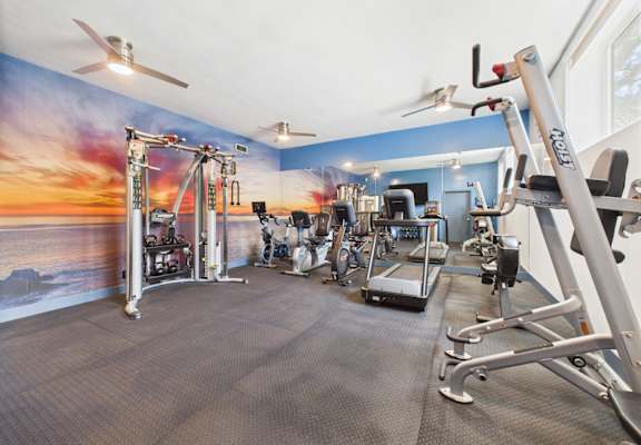 A gym with a variety of equipment including treadmills, weights, and a rowing machine.