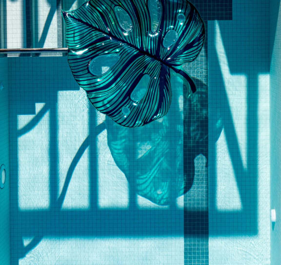a flower in a glass vase in a pool