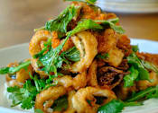 Thumbnail 44 of 46 - A plate of fried calamari at Bautista Apartments, Tucson, AZ, 85745