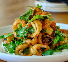 A plate of fried calamari at Bautista Apartments, Arizona, 85745