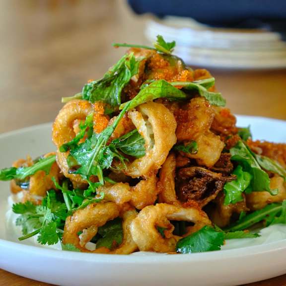 A plate of fried calamari at Bautista Apartments, Tucson, AZ, 85745