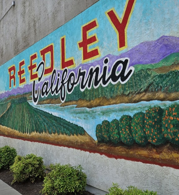 a mural painted on the side of a building