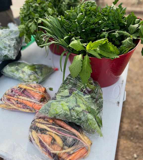 Vegetables stall at Bautista Apartments, Tucson, 85745